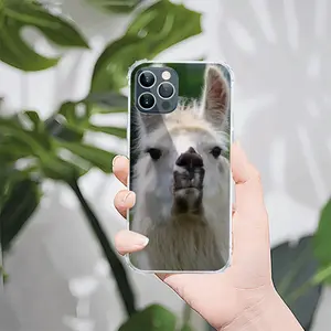 Llama Look iPhone12 Pro Phone Case (Silicone)