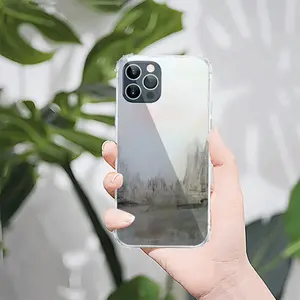 Megacity And Seagull iPhone12 Pro Phone Case (Silicone)