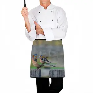 Bird Bust Apron