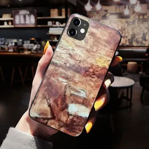 Firestorm iPhone 12 Phone Case (Tempered Film)