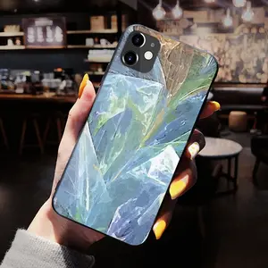 Apophysis 19 iPhone 12 Phone Case (Tempered Film)