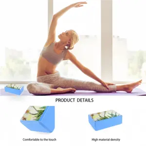 Aloe Yoga Brick