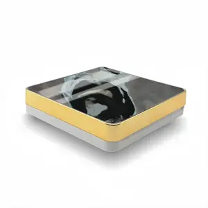 Spirit Penguin Air Cushion Box (Square)