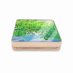 Daphnes World Air Cushion Box (Square)