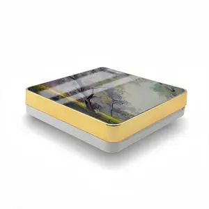 Misty Trees Air Cushion Box (Square)