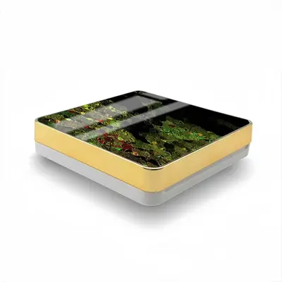 Abyss Forest Air Cushion Box (Square)