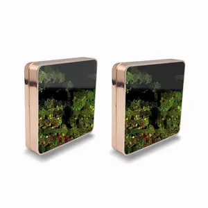 Abyss Forest Air Cushion Box (Square)