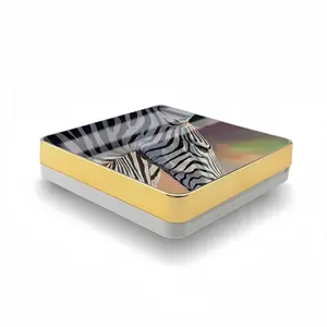 Dreamy Zebra Air Cushion Box (Square)