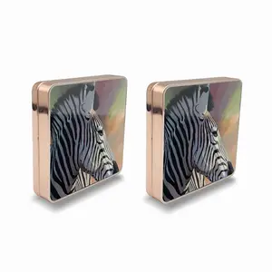 Dreamy Zebra Air Cushion Box (Square)