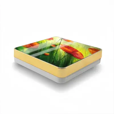 The Sunshine Poppies Air Cushion Box (Square)