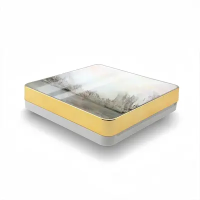 Megacity And Seagull Air Cushion Box (Square)