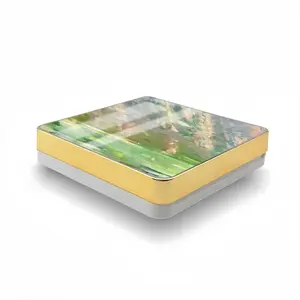 Correlation Air Cushion Box (Square)