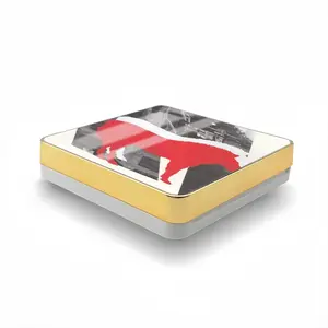 Wwf Przewalskis Horse Air Cushion Box (Square)