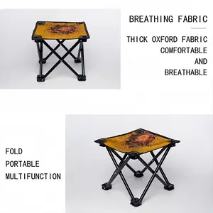 Inner Universe Folding Fishing Stool