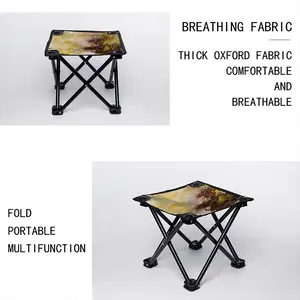 Hive Folding Fishing Stool