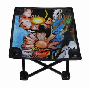 Floridor Folding Fishing Stool