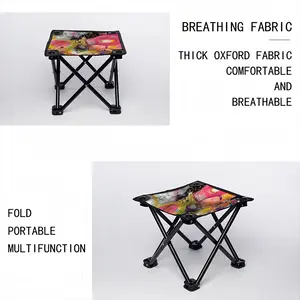 Rabid Folding Fishing Stool