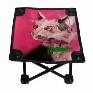 My Cat Isis Folding Fishing Stool