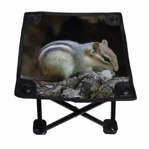 Hight Park Chipmunk Folding Fishing Stool