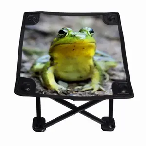 Green Frog Chillin Folding Fishing Stool