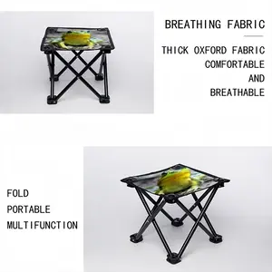 Green Frog Chillin Folding Fishing Stool