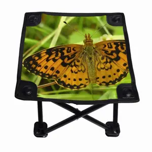 Beautiful New Hampshire Butterfly Folding Fishing Stool