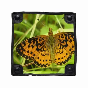 Beautiful New Hampshire Butterfly Folding Fishing Stool