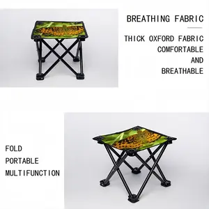 Beautiful New Hampshire Butterfly Folding Fishing Stool