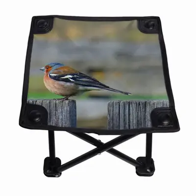 Bird Folding Fishing Stool