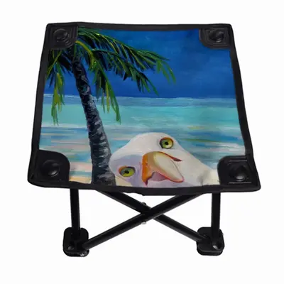 Seagull Beach Mob Folding Fishing Stool