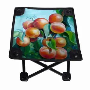 Apricot Branch Folding Fishing Stool