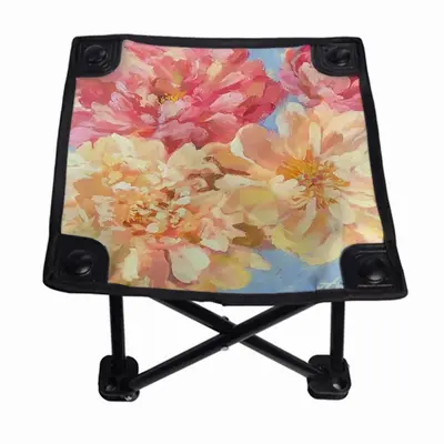 Beautiful Summer Folding Fishing Stool