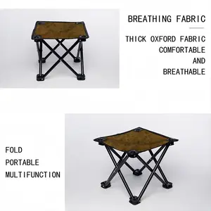 Politically Neutral Folding Fishing Stool