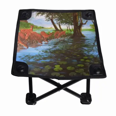 Thirst Quencher Folding Fishing Stool