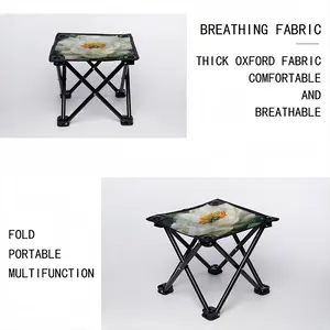 White Peony Folding Fishing Stool