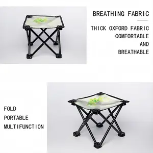 Start Afresh Folding Fishing Stool