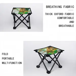 Awakening 2 Folding Fishing Stool