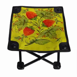 Raspberry Folding Fishing Stool