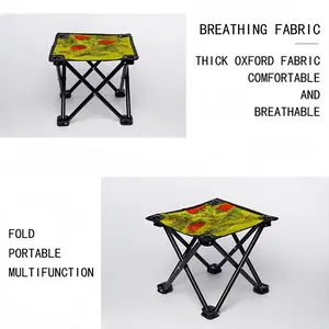 Raspberry Folding Fishing Stool