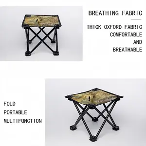 Seaside Scatter Folding Fishing Stool