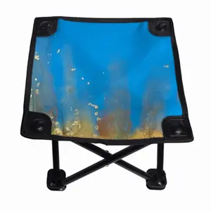 Gold Reef Folding Fishing Stool