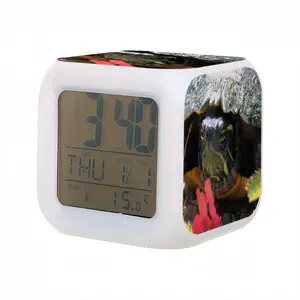 Big New Hampshire Turtle Colorful Mood Clock