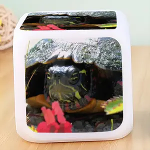 Big New Hampshire Turtle Colorful Mood Clock