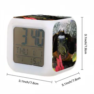 Big New Hampshire Turtle Colorful Mood Clock