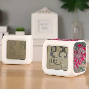 Dianthus Colorful Mood Clock