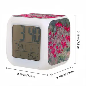 Dianthus Colorful Mood Clock