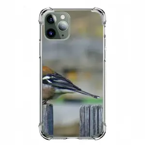 Bird iPhone11 Pro Phone Case (Silicone)