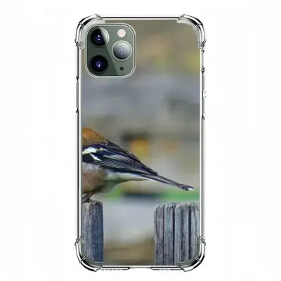 Bird iPhone11 Pro Phone Case (Silicone)