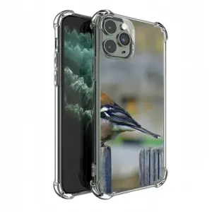 Bird iPhone11 Pro Phone Case (Silicone)