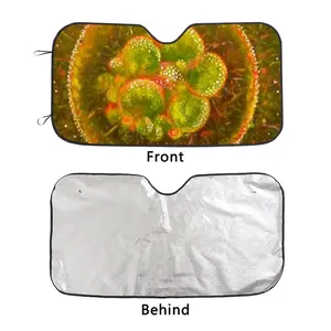 Cellular Universe X Car Windshield Sunshade